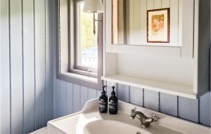 赫讷福斯Lovely Home In Hnefoss With House A Panoramic View的带窗户的浴室内的白色水槽