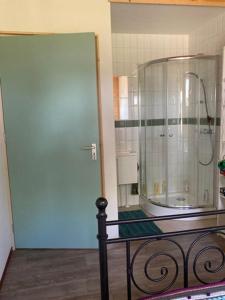 多德雷赫特Aan de Dijk的带淋浴的浴室和玻璃门