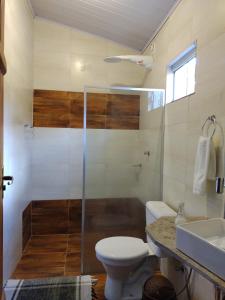 皮雷诺波利斯Pouso Divino dos Pireneus的带淋浴、卫生间和盥洗盆的浴室
