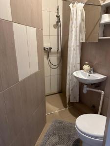 考纳斯Sija's house的浴室配有卫生间、盥洗盆和淋浴。