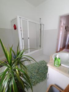 纳扎雷Casa da Tina的浴室设有水槽、镜子和植物