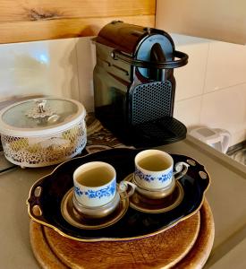 KremnaBrvnare Mrkic的厨房柜台盘上的两杯咖啡