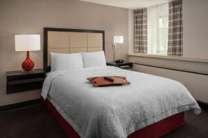 密尔沃基密尔沃基市中心希尔顿恒庭旅馆&套房酒店的酒店客房,配有一张棕色钱包的床