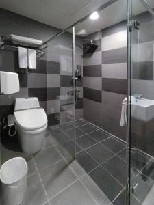 平镇日月光国际饭店桃园馆的一间带卫生间和玻璃淋浴间的浴室