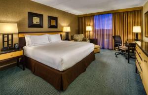 阿灵顿海茨芝加哥希尔顿逸林酒店 - 阿灵顿高地的酒店客房设有一张大床和一张书桌。