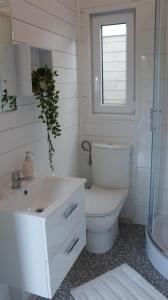 米兹多洛杰Happyfugu Domki Letniskowe的一间带卫生间、水槽和窗户的浴室