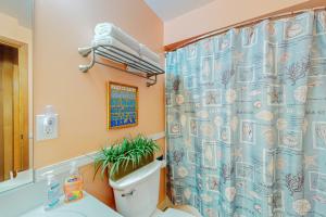 林肯市The Lucky Starfish的浴室配有蓝色的浴帘和卫生间