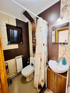 苏恰瓦Altheda Living Tiny House的一间带卫生间和水槽的浴室