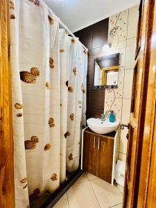 苏恰瓦Altheda Living Tiny House的一间带水槽和淋浴帘的浴室