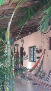 马里卡Casa temporada maricá的一间棕榈树客房,墙上挂着一个钟