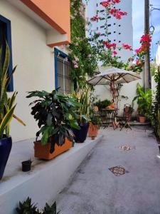 福塔莱萨Casa Sagrada 282的庭院里种有盆栽植物,配有带雨伞的桌子