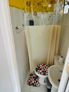 贝伦Hostel das Flores的一间带卫生间和水槽的小浴室