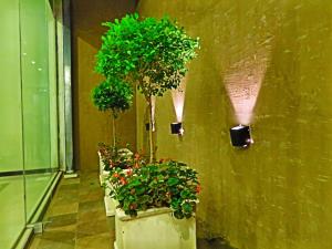 雷孔基斯塔Grand Hotel的墙上有几株盆栽的走廊