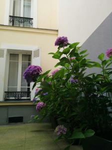 巴黎第五庭院住宿加早餐旅馆的相册照片