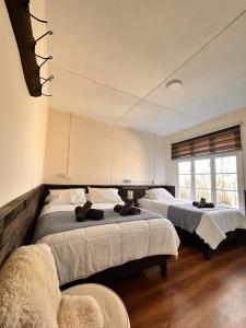 Cerro CastilloRiverline lodge的一间卧室设有两张床和窗户。