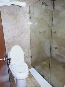贾拉普Hotel Posada del Virrey的一间带卫生间和淋浴的浴室