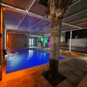 特尔马斯德里奥翁多Hotel Gran Habana的一座棕榈树游泳池