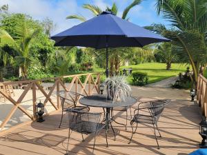阿比让Bougainvilla的庭院内一张桌子和椅子,上面摆放着蓝色的遮阳伞