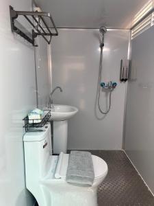 金城永乐古厝民宿的浴室配有卫生间、盥洗盆和淋浴。