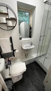 科尔切斯特Peaceful LARGE Studio Flat Colchester的浴室配有卫生间、盥洗盆和淋浴。