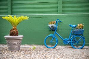 博洛尼亚Bohoostel的一辆蓝色自行车停在绿色的墙上,墙上有两株盆栽植物