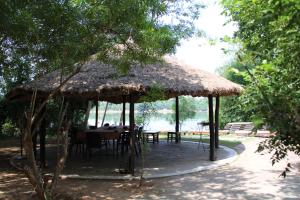 RājgarhPanna Tiger Resort- Riverside Property的草伞下的桌椅