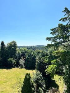 法纳姆Ipsley Lodge Apartment Surrey Hills的树木和草地的景色