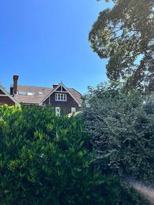 法纳姆Ipsley Lodge Apartment Surrey Hills的树叶上可见一所房子