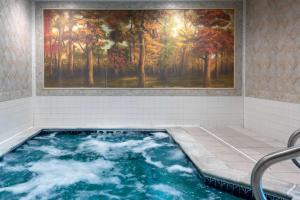 温莎洛克斯哈特福德机场汉普顿酒店的墙上画画的按摩浴缸