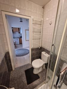 奥普尔INNY Apartament Rynek Opole的一间带卫生间和淋浴的小浴室
