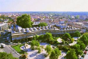 埃迪尔内Rüstempaşa Kervansaray Hotel的享有树木和建筑的大建筑的空中景致
