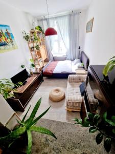 奥普尔INNY Apartament Rynek Opole的一间带床的客厅和一间带植物的房间