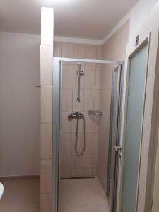 上米托Penzion ČESKÁ FARMA的浴室里设有玻璃门淋浴