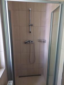 上米托Penzion ČESKÁ FARMA的浴室里设有玻璃门淋浴