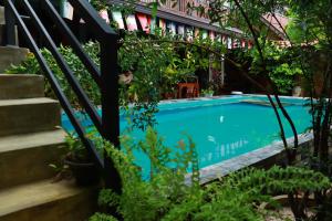 尼甘布Negombo The Nature Villa and Cabanas的花园内的游泳池