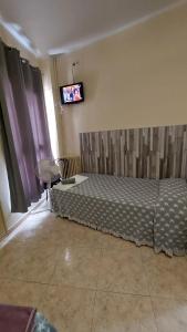 雷乌斯Pension Suiza的卧室配有一张床,墙上配有电视。