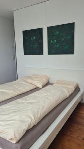 库尔Vesmira_1的墙上有两张照片的房间的两张床