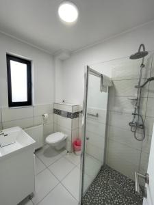 托普利察ALPIN rooms的带淋浴、卫生间和盥洗盆的浴室