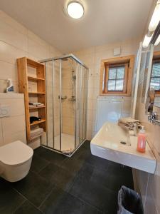 迈斯霍芬菲林澳博雷酒店的带淋浴、盥洗盆和卫生间的浴室