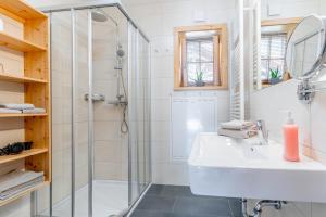 迈斯霍芬菲林澳博雷酒店的带淋浴和盥洗盆的浴室