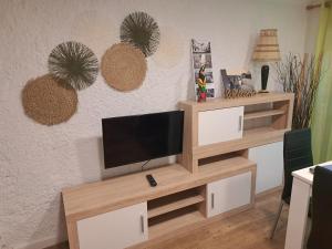贝萨卢Can Teixidor的一间客厅,客厅内配有一台电视,位于一个木制娱乐中心