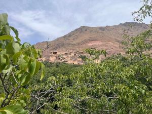 马拉喀什Imlil的山顶上树木繁茂的村庄