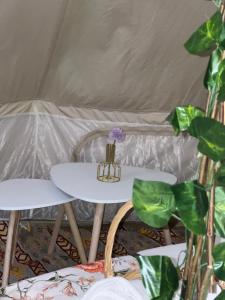 BadīyahThousand Stars Desert Camp的帐篷里桌椅和花