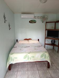 Rio CelestePosada Rural Río Celeste的一间带一张床的卧室,位于带电视的客房内