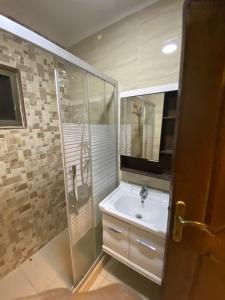 亚喀巴Mariam Boutique Hotel的一间带水槽和淋浴的浴室