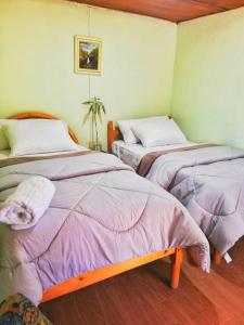 安巴托Hospedaje Dulce Piedad的一间卧室配有两张带紫色棉被的床