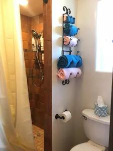 圣达菲Casita Luna的带淋浴、卫生间和毛巾的浴室