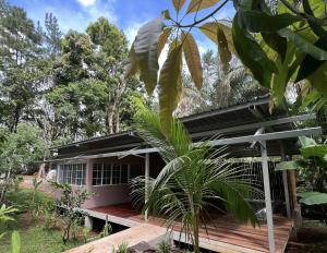 Chilibre巴拿马猴子山林小屋住宿加早餐旅馆的花园中带木甲板的房子