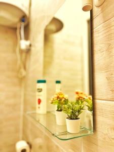布达佩斯Central Studio Flat的浴室里装有鲜花和瓶子的玻璃架子