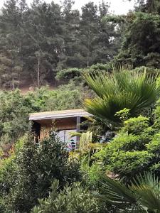 马坦萨斯Lodge Los Bosques的森林中间的小房子